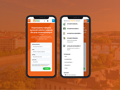Travel website mobile ui ui design uiux website