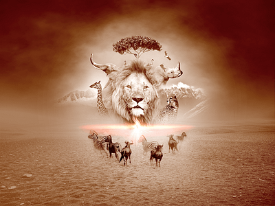 AFRICA acacia africa african animals animals antilope collage design elephant flare giraffe illustration leopard lion mountains rhino savannah zebra