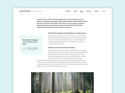 Blog detail grid storytelling typography webdesign