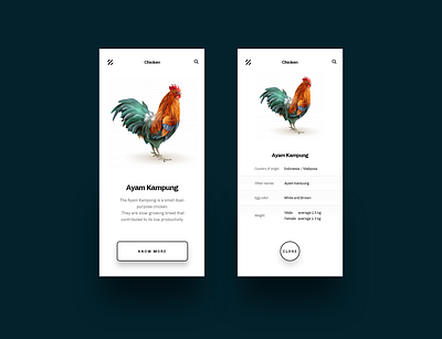AnimPedia animals birds black bright clean elegant minimal simple ui uiux white