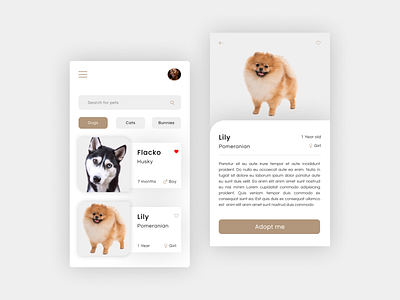 Pet adoption app adobe xd adobexd app art design figma figma design figmaafrica figmadesign flat icon interface typography ui ui ux ui design uiux ux web website