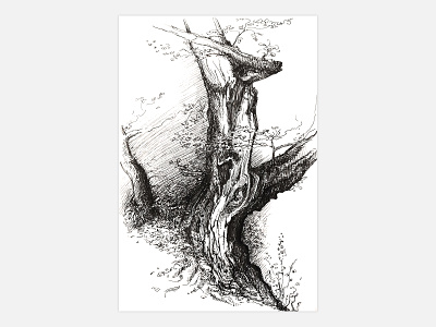 Graphic Drawing, Sketching Art Work, Tree art artwork black drawing graphic hand drawn handmade illustration ink pen pencil sketch sketching tree trees white