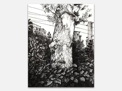 Tree, Sketch black black white building drawing drawing ink hand drawn handmade leaves painting pen pencil sketch sketchapp sketchbook sketching tree trees
