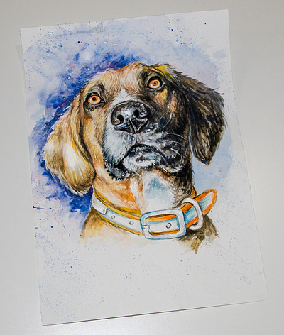 watercolor portrait of a dog art design dog illustration paint painting pictures portraits style