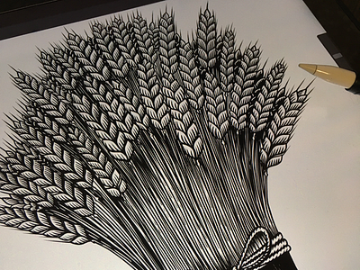 Sheaf of wheat bakery engraving procreate sheaf wheat woodcut