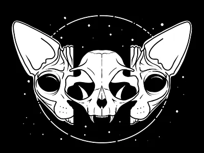 Cosmic split - Sphynx cat skull animal skull black aesthetic black and white illustration black background cat head cosmic creepy dark dark arts hairless cat illustration mysterious mystical scary skull space