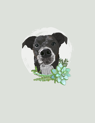 Pet Portait - Ollie digital design dog dog illustration illustration digital pet portrait succulents