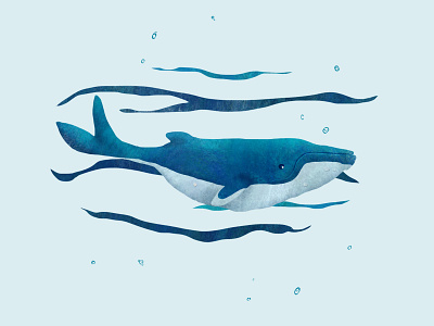 Waiting Whale blue illustration nature nature illustration ocean ocean life sea texture whale wild animal wildlife