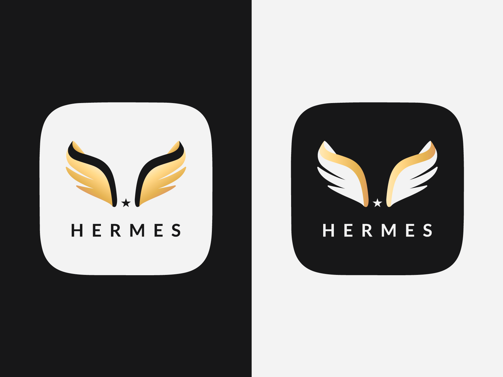 Hermes Platform Logo by Andrés Gar on Dribbble
