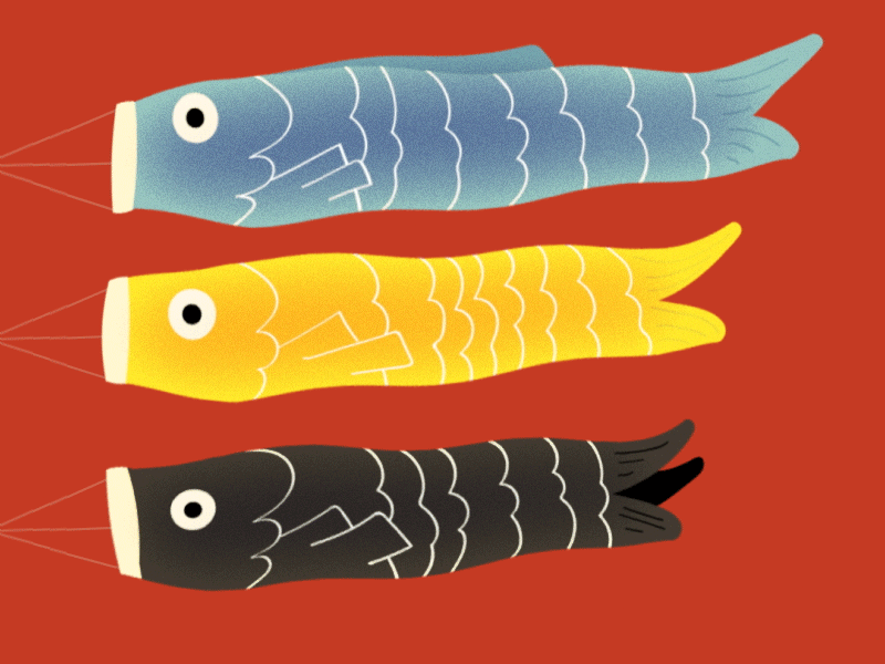 Koinobori after effects fish flag illustration koinobori wave wind