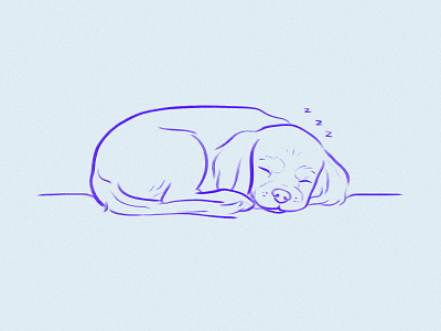 snooze dog drawing illustration puppy sketch