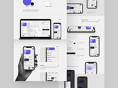 File Management Presentation app application behance concept design file file manager manage management pages presentation presentation design sketch ui