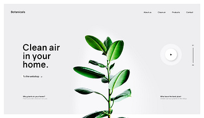 clean air app ui ux web web design web site