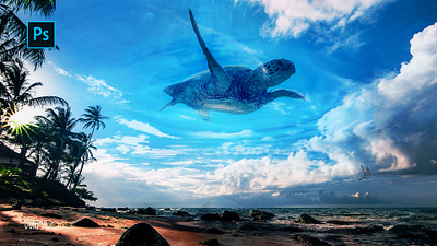 Photo Manipulation Tutorial - Turtle Beach image manipulation photomanipulation photoshop photoshop tutorial picture editing