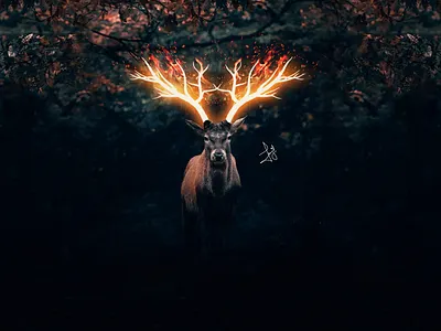 Fire Glowing Deer || Photo Effect in Photoshop || Speed-Art image editing image manipulation photomanipulation photoshop photoshop tutorial