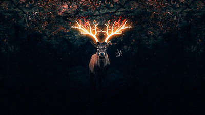 Fire Glowing Deer || Photo Effect in Photoshop || Speed-Art image editing image manipulation photomanipulation photoshop photoshop tutorial