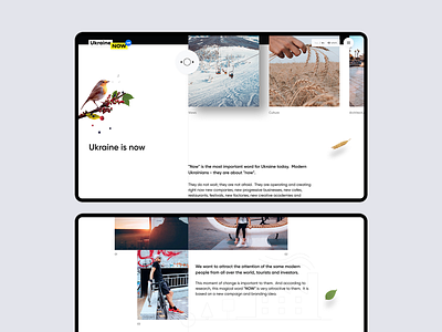 Ukraine NOW concept design desktop intro minimal now promo travel ui ukraine ux web website