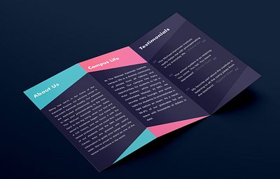 Pamphlet Design brochure brochure design brochure layout brochure mockup design pamphlet design