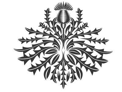 Thistle_02_23_2020 adobe illustrator black and white floral graphic plants qcassetti thistle vector