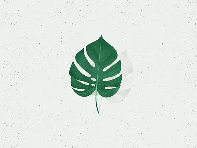 Monstera Leaf illustration leaf monstera deliciosa procreate