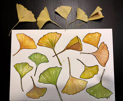 Watercolor ginkgo leaves