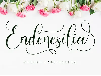 Endenesilia Script beautiful font blogger font calligraphy custom font elegant font fashion font feminine font font for logos handmade handwritten font heart font heart swashes instagram font logo font lovely font modern calligraphy modern font romantic font script trendy font