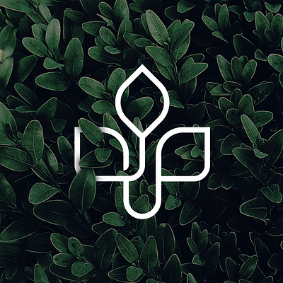 Alder Plant Goods Monogram brand brand identity branding and identity branding design company logo design logo design monogram stationery design vector