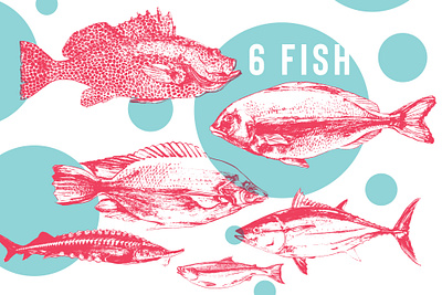 Fish for Creative Market animal collection fauna fish fish pattern fish species fishing fresh logotype marine menu ocean poster salmon sea sea bass sea food set tuna underwater