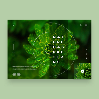 #NatureHasPatterns 01 app application concept design desktop homepage design illustrator landing page landing page design minimalistic nature photoshop responsive design sketch typography ui ux web webdesign website concept xd