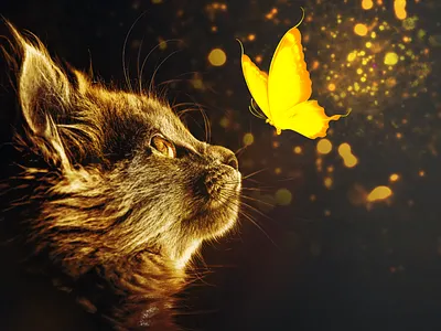 Glowing Cat branding design icon illustration logo logo design typography ui ui design ux