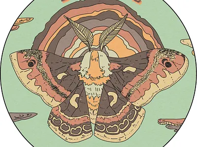 BIOBLITZ digital art illustration insects photoshop