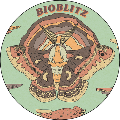 BIOBLITZ digital art illustration insects photoshop