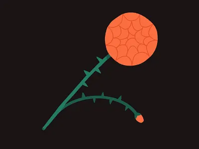 Rosebud On Black black flower flower illustration illustration red rose rosebud thorns