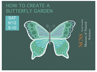 Butterfly workshop illustration design