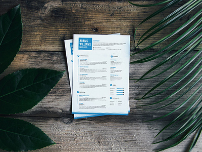 Free Clean Resume Template with Cover Letter cv cv resume template free cv free cv template free psd free resume free resume template freebie freebies psd resume