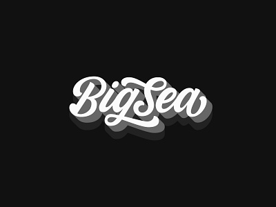 Big Sea agencylife bigsea brushlettering digitalmarketing florida goodtype handdrawn handmade lettering makewaves stpete tampa tampabay theletteringcontinues typebytrade typegang typematters typeyeah typism