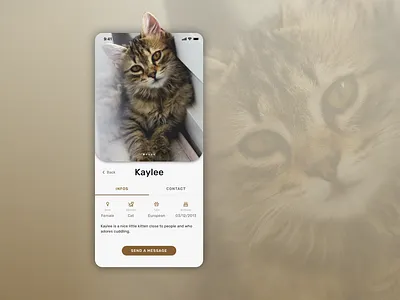 Daily UI :: 006 User profil app design mobile mobile design ui design ui design challenge