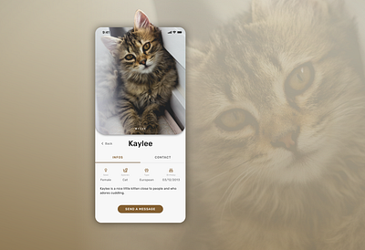 Daily UI :: 006 User profil app design mobile mobile design ui design ui design challenge