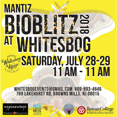 BIOBLITZ