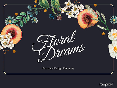 Floral dreams frame design vector beautiful black black background bloom blooming blossom blue botanic botanical card colorful copyspace daisy decoration design element design space elegant floral floral dreams flower