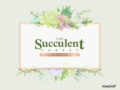 Hand drawn succulent recrangle frame template vector background banner beautiful blank space bloom botanical bouquet cacti card copy space decoration design design space element floral flower forest frame garden succulent