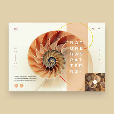 #NatureHasPatterns 02 app application concept design desktop design digital nature responsive design responsive web design sketch ui ui design ux web concept webdesign xd design