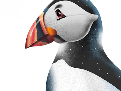 puffin close-up animal applepencil illustration illustration art illustration digital ipadpro kiasue procreate procreate art procreate drawing puffin