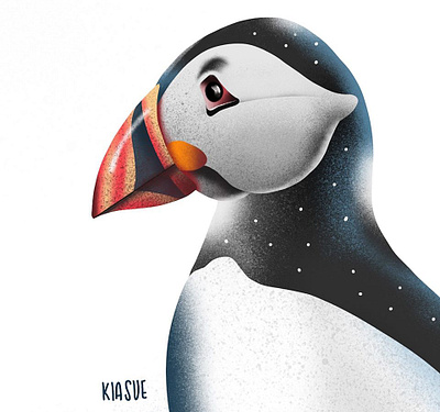 puffin close-up animal applepencil illustration illustration art illustration digital ipadpro kiasue procreate procreate art procreate drawing puffin