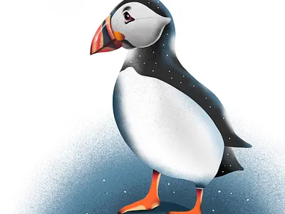 puffin art artwork digital draw digital drawing drawing illustration ipadpro kiasue procreate procreate art procreate drawing puffin