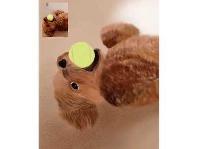 Dog Art - Winnie apple design digital painting digitalart illustration ipadpro ipencil poodle tennisball