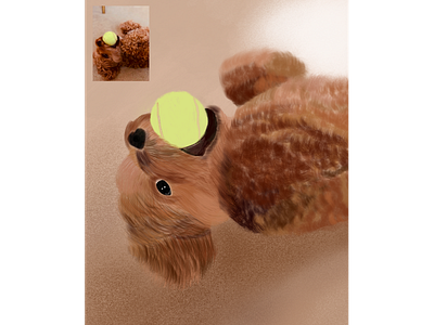 Dog Art - Winnie apple design digital painting digitalart illustration ipadpro ipencil poodle tennisball