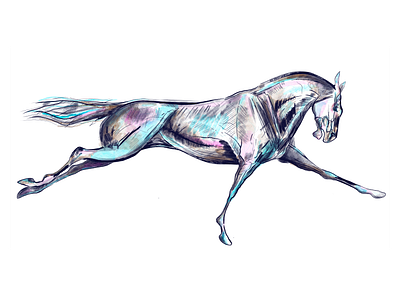 Splash of Color in Horses 🐎 art artist blood color colorful colors design digitalart draw drawing horse horse racing hue illustration ink painting race tint value watercolor