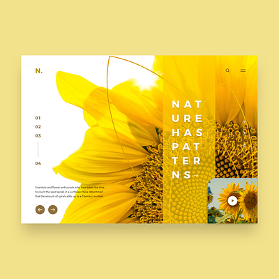 #NatureHasPatters 03 app application design concept concept design desktop design digital goldenratio minimalistic mobile nature responsive responsive design sketch ui uiuxdesign ux web webdesign xd design