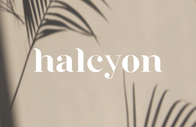 halcyon typeface design typeface typogaphy